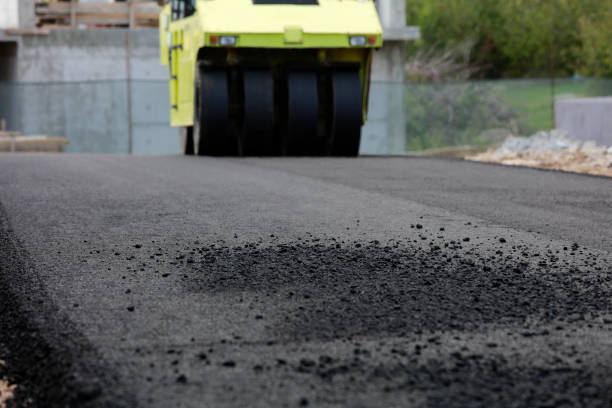 Professional Driveway Pavers in Pinetops, NC