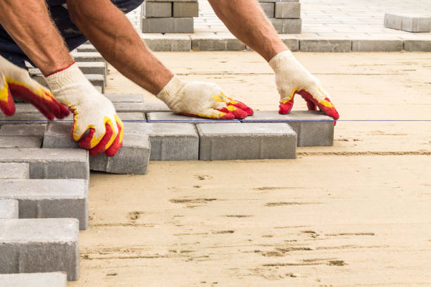 Best Local Driveway Pavers  in Pinetops, NC