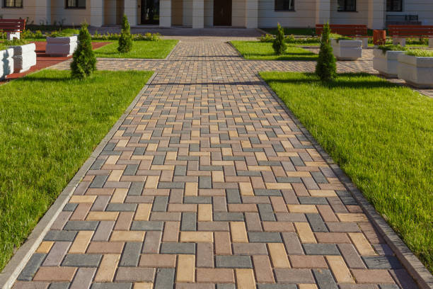 Best Permeable Paver Driveway  in Pinetops, NC